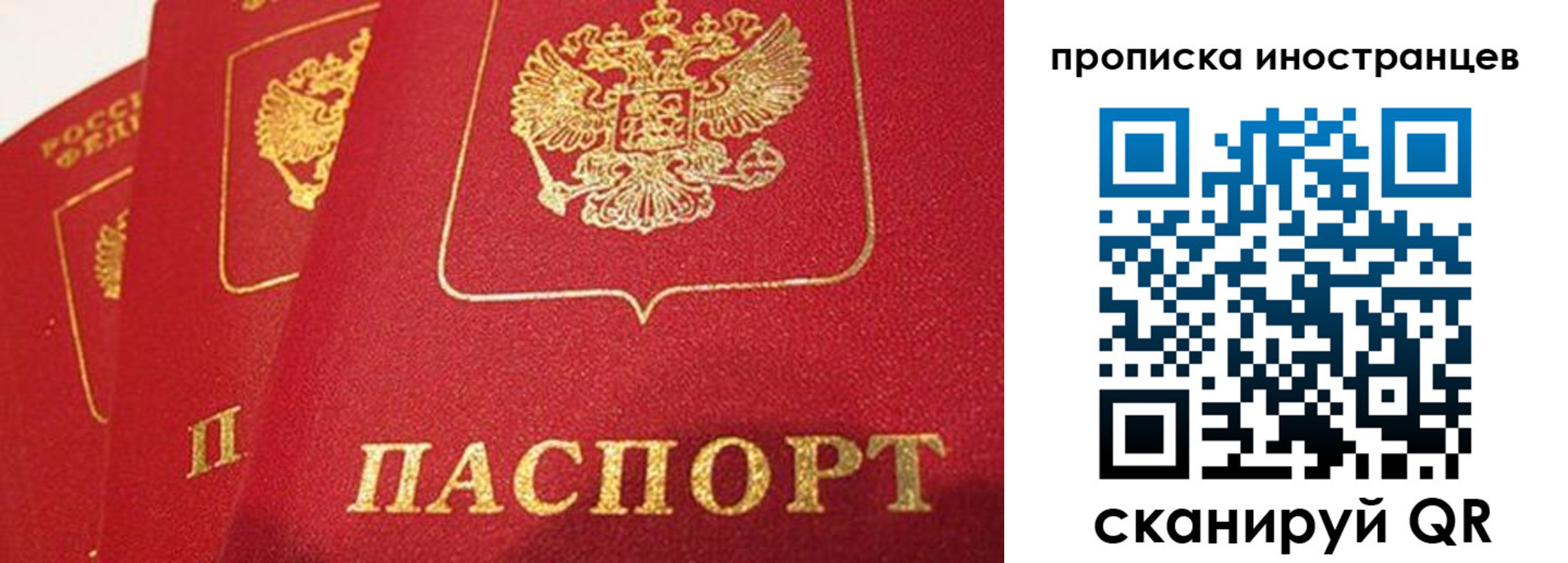 прописка поиск в Камчатском крае